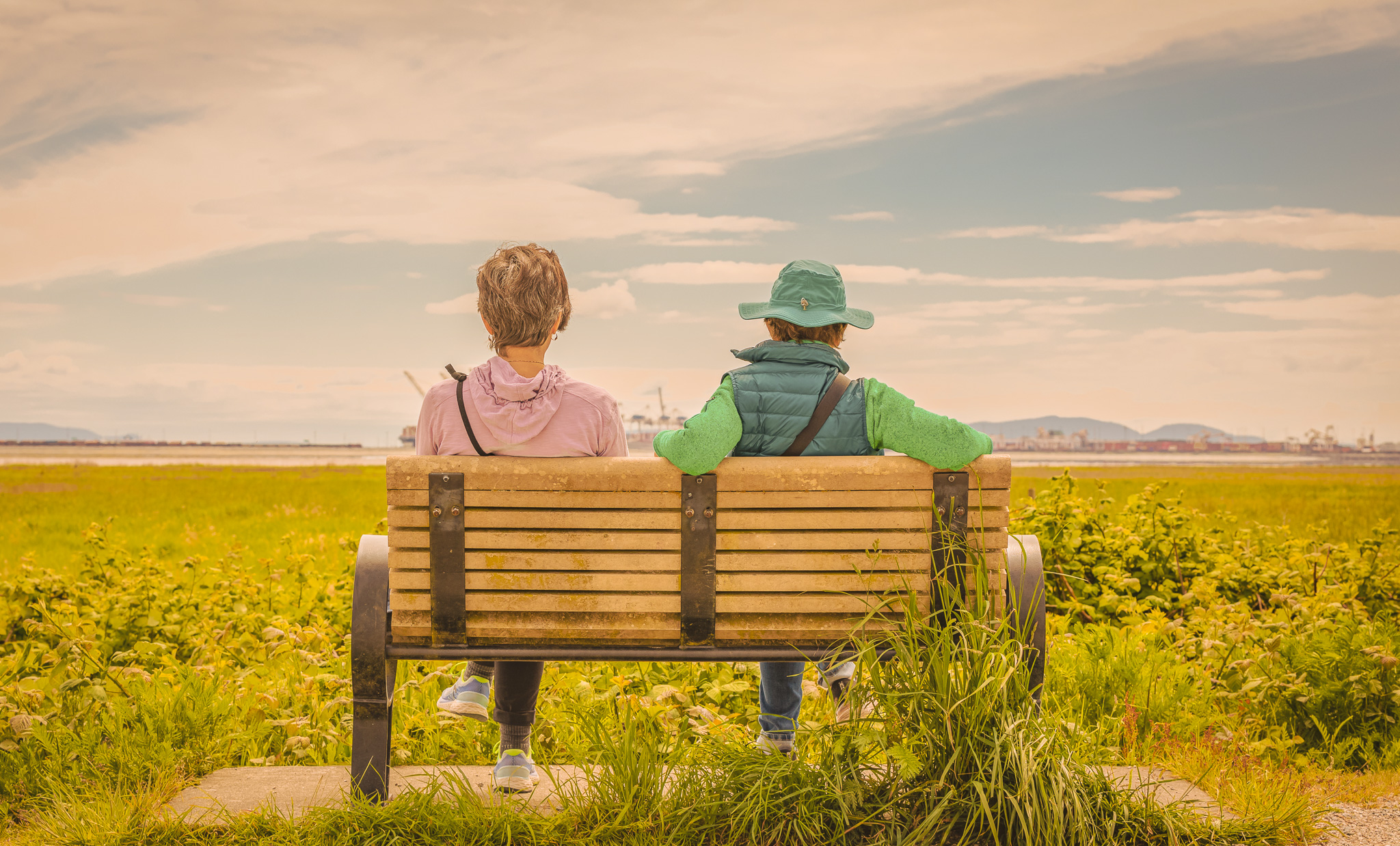 Women On The Bench In Sunny Day Back View Of