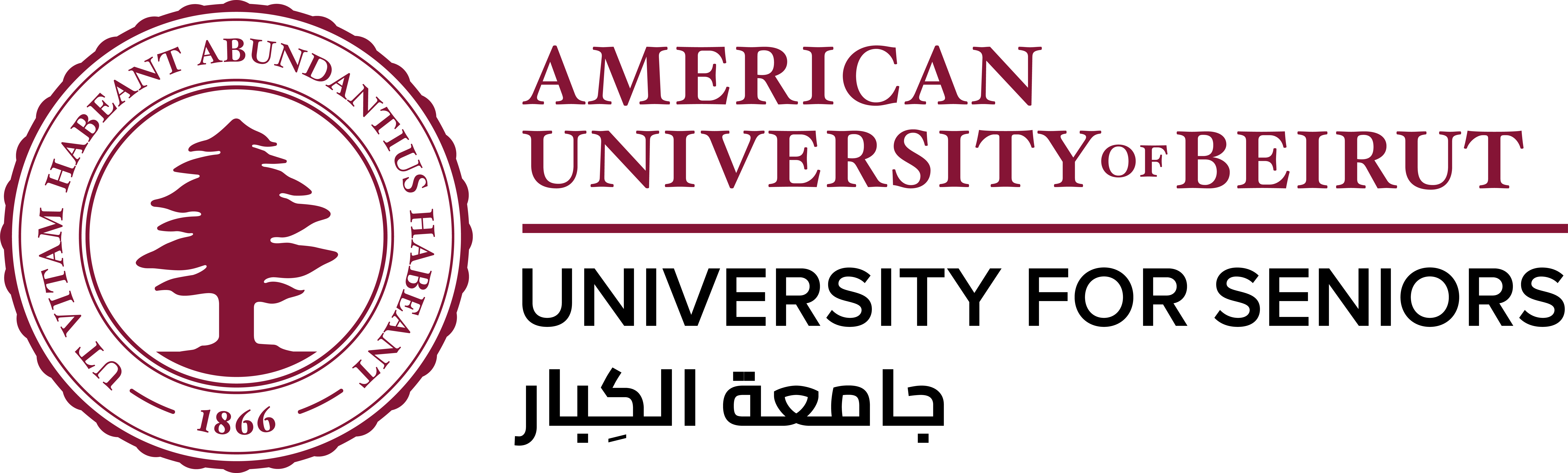 University for Seniors